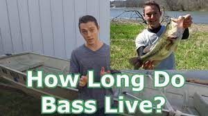 About as long as you can hold your breath, about one minute out of water the bass starts to go into shock unless revived quickly. How Long Do Bass Live How Fast Do They Grow Youtube