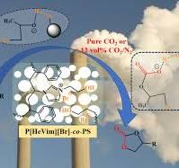 Polyhydroxy Ionic Polymer Catalysts for Highly Selective ...