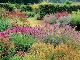 Landscape And Garden Design Prairie Garden Prairie Planting Plants