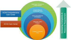 Building an Adult Congenital Heart Program: Critical Components and  Important Allies