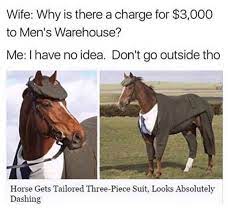 Horse Meme By Haha05 Memedroid