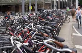 He gives the plant badge to trainers who defeat him. Oberursel S New Bicycle Facility To Improve Cycling Conditions Themayor Eu