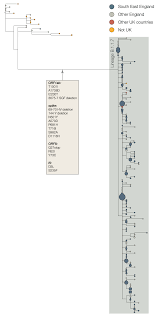 Animal cell culture media types composition. Preliminary Genomic Characterisation Of An Emergent Sars Cov 2 Lineage In The Uk Defined By A Novel Set Of Spike Mutations Ncov 2019 Genomic Epidemiology Virological