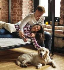 Thousands of pet sitters in your area. Holidog Uk Cat Sitting Dog Sitting Walking