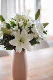 Giardino vasi di fiori a casa piccolo decorativa indoor bianco vaso di fiori vaso con due fiori bianchi. Il Significato Dei Fiori Bianchi E Tutte Le Varieta Tra Le Quali Scegliere Colvin