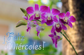 Resultado de imagen de feliz miercoles con flores y cafe