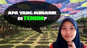 Tenom, keningau, tambunan dan sipitang cukup terkenal dengan tulang belakang sabah dan kedudukannya adalah di kawasan pedalaman sabah. Apa Yang Menarik Di Tenom Asal Usul Nama Daerah Tenom Youtube