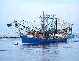 Get fed at the shed. Home Mississippi Seafood
