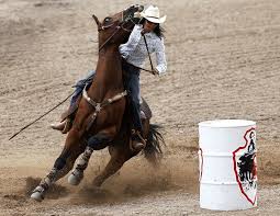 Horse in the wind coloring page. Barrel Racing Horses Darwing Free Image Download