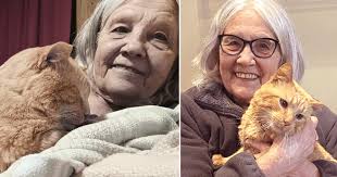 Air Force Veteran Finds New Purpose Adopting Senior Special Needs Cat