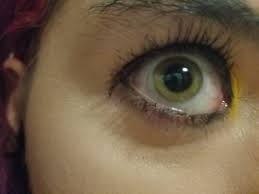 Best colored contacts brand reddit. Best Colored Contacts Reddit 5 Best Colored For Dark Eyes March Bcosportagency Com
