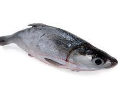 Kita teringin nak makan ikan masak asam pedas. Frozen Milk Fish Ikan Susu 950g å¥¶é±¼ è™±ç›®é±¼ Sg