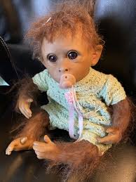 Ashton drake clementine sales