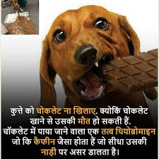 Rochak Tathya General Knowledge Facts Psychology Fun Facts Interesting Facts In Hindi