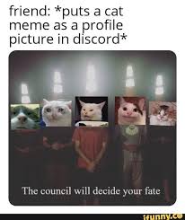 Friend Puts A Cat Meme As A Profile Picture In Discord The Council Will Decide Your Fate Ifunny Memes Cat Memes Profile Picture