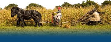 Living history farms is located in the western suburbs of des moines, iowa in urbandale and is conveniently located right off interstates 35/80. Welcome To Living History Farms Urbandale Iowa