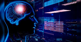 Cuánta información puede retener el cerebro de una persona? | Ciencia | La  República