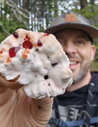 EDIT: "Grape hyacinth" (Muscari) is not the same as other "Hyacinths"  (Hyacinthus), which are toxic. Facebook won't let me add photos here  without also adding a "call me" button, so I will