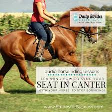 Start Rolling & Stop Bouncing In The Canter - Strides For Success