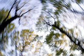 Don T Suddenly Stop Taking Your Antidepressant Medical Daily Tinnitus Symptoms Essential Oils For Vertigo Vertigo