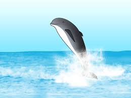 Find drawing ideas and learn to draw wild animals, pets, sea life, birds, dragons, and more. How To Draw Animals Kids 10 Steps With Pictures Wikihow