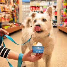 Use hanging cookware racks to make the most of vertical space, and cabinet drawers to make organization and access easy. It S A Dogfight At America S Pet Stores As Covid 19 Upends The 96 Billion Industry Fortune