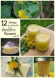 Dried dandelion flowers for sale. 12 Things To Make With Dandelion Flowers