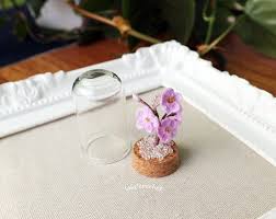 Miniature Cherry Blossom Glass Dome Fairy Flower Garden Etsy Cherry Blossom Flowers Dollhouse Decor Daffodil Flower