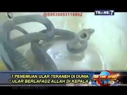 Hasil gambar untuk tempat teraneh di indonesia