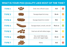 Bristol Stool Chart A Gutsy Girl