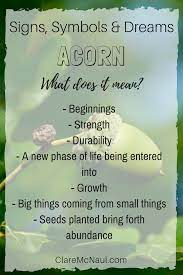 Noticing Acorns Lately Acorn Showing Up In Your Dreams Or Psyhic Or Mediumship Readings Here Are Some Thoughts On Dream Meanings Dream Symbols Dreams Meaning