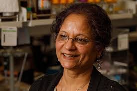 Lashun Harris's Instagram, Twitter & Facebook