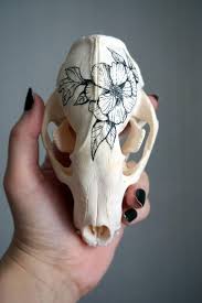 Hand Painted Skull Of Badger Flower Collection Skull Painting Skull Skull And Bones