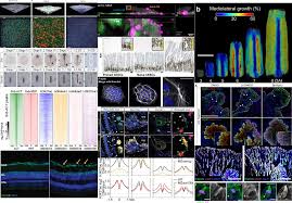January in preprints