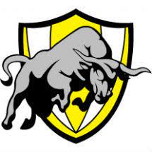 Perak the bos gaurus supporters final piala fa 2019 snbj. Vectorise Logo Perak Fa The Bos Gaurus Vectorise Logo