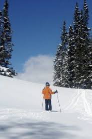 20 what to do in steamboat springs ideas steamboat springs steamboat springs colorado steamboats pinterest