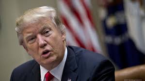 Guest Comment: Donald Trump's immigration initiatives could cast a long,  dark shadow