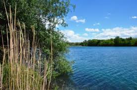 114 m² 4 zimmer 300.000,10. Elsass Exklusives Haus Am See Mit Eigenem Strand Les Chalets Du Lac Frankreich Beinheim Einfamilienhaus Baden Baden 2kytu4e