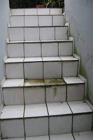 Fliesenschienen werden als dekorative abschl. Kellertreppe Saniert Mit Steinteppich Endlich Mehr Als Nur Eine Katzentreppe Renofloor Gmbh