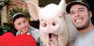 Esther the Wonder Pig and Her Gay Dads Are Getting A Feature Film