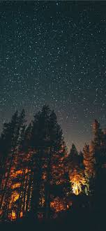 Check spelling or type a new query. Explore Iphone Wallpapers Top Free Explore Iphone Backgrounds Wallpaperaccess
