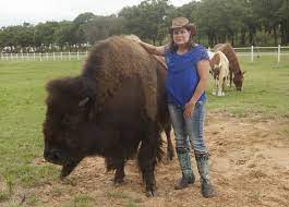 Whether you're a local, new in town or just cruising through we've got loads of great tips and events. Local Ranch Offers Safari In Suburbia Cross Timbers Gazette Southern Denton County Flower Mound News