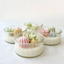 Succulent Terrarium Candle Terrarium Candle Candle Containers Soy Wax Candles