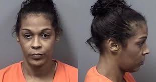 Citrus County Mugshots Dec. 12, 2018