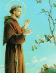 Obituary for Rosemary Merced