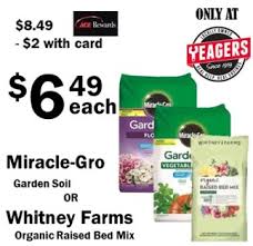 We did not find results for: Miracle Gro Soil Or Whitney Farms Mix 6 49 Yeagers Ace Hardware