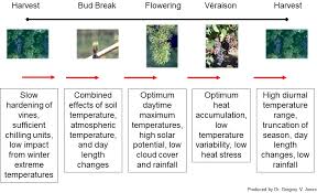 Climate Grapes And Wine Gregory Jones Articles Guildsomm