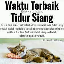 Selain Hari Jumat Waktu Terbaik Untuk Melakukan Tidur Siang Sesaat Adalah Menjelang Tergelincirnya Matahari Atau Sebelum Waktu Zuhur Tiba Waktu Ini Telah Dise