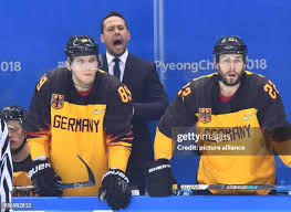 3,502 Marco Wolf Stock Photos, High-Res Pictures, and Images