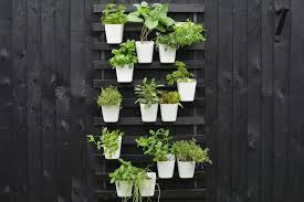 Create A Modern Vertical Garden Using Ikea Bed Slats Vertical Garden Diy Vertical Garden Ikea Bed Slats